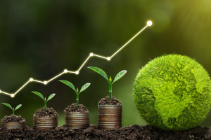 Light bulb is located on soil. plants grow on stacked coins Renewable energy generation is essential for the future. Renewable energy-based green business can limit climate change and global warming.